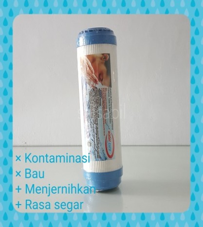 Filter GAC 10"
