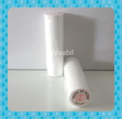 Filter CP 10"