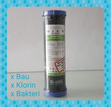 Filter cto anti bakteri 10"